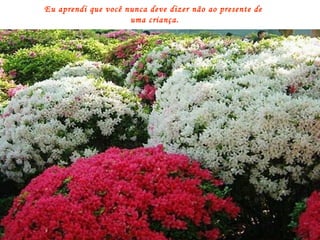 Eu aprendi que você nunca deve dizer não ao presente de  uma criança. 