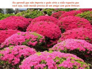 Eu aprendi que não importa o quão sério a vida requeira que  você seja, todo mundo precisa de um amigo com quem brincar. 