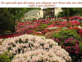 Eu aprendi que devemos nos alegrar por Deus não nos dar  tudo o que pedimos. 