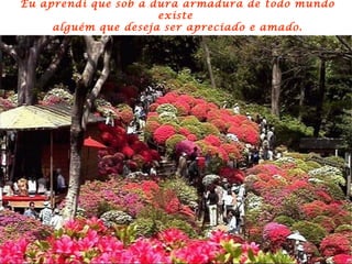 Eu aprendi que sob a dura armadura de todo mundo existe  alguém que deseja ser apreciado e amado. 