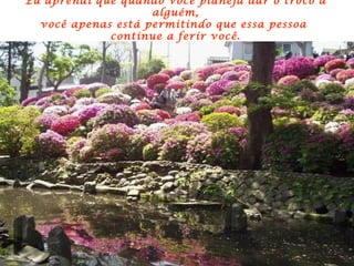 Eu aprendi que quando você planeja dar o troco a alguém, você apenas está permitindo que essa pessoa  continue a ferir você. 