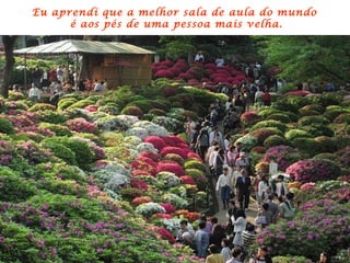 Eu aprendi que a melhor sala de aula do mundo  é aos pés de uma pessoa mais velha. 