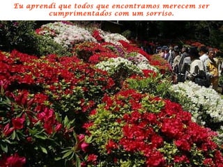 Eu aprendi que todos que encontramos merecem ser cumprimentados com um sorriso. 