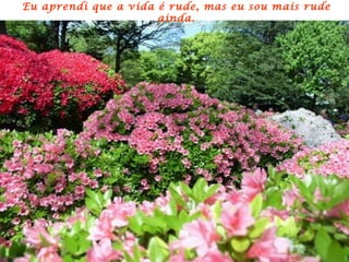 Eu aprendi que a vida é rude, mas eu sou mais rude ainda. 