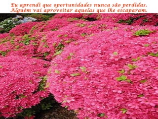 Eu aprendi que oportunidades nunca são perdidas.  Alguém vai aproveitar aquelas que lhe escaparam. 