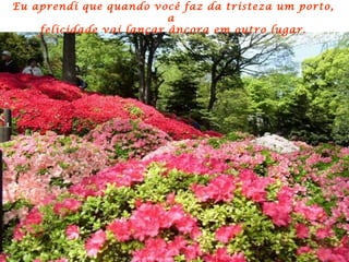 Eu aprendi que quando você faz da tristeza um porto, a  felicidade vai lançar âncora em outro lugar. 