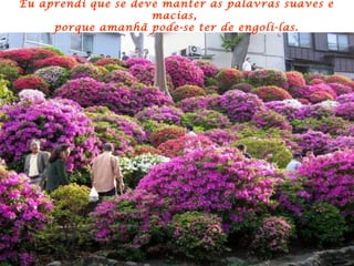 Eu aprendi que se deve manter as palavras suaves e macias,  porque amanhã pode-se ter de engoli-las. 