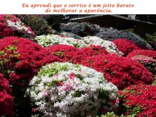 Eu aprendi que o sorriso é um jeito barato  de melhorar a aparência. 