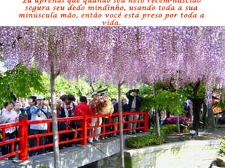 Eu aprendi que quando seu neto recém-nascido segura seu dedo mindinho, usando toda a sua minúscula mão, então você está preso por toda a vida. 