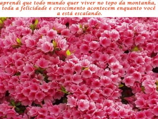 Eu aprendi que todo mundo quer viver no topo da montanha, mas toda a felicidade e crescimento acontecem enquanto você  a está escalando. 