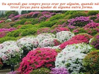 Eu aprendi que sempre posso orar por alguém, quando não  tiver forças para ajudar de alguma outra forma. 