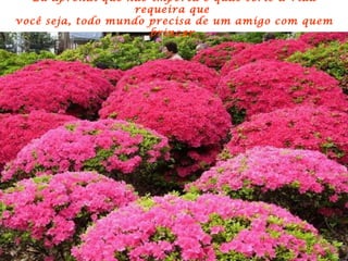 Eu aprendi que não importa o quão sério a vida requeira que  você seja, todo mundo precisa de um amigo com quem brincar. 