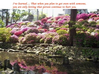 I've learned.... That when you plan to get even with someone, you are only letting that person continue to hurt you. 