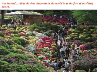 I've learned.... That the best classroom in the world is at the feet of an elderly person. 