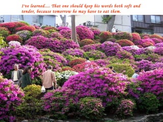 I've learned.... That one should keep his words both soft and tender, because tomorrow he may have to eat them. 