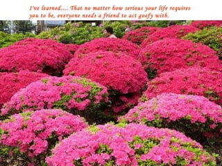 I've learned.... That no matter how serious your life requires you to be, everyone needs a friend to act goofy with. 