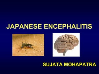 JAPANESE ENCEPHALITIS 
SUJATA MOHAPATRA 
 