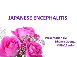 JAPANESE ENCEPHALITIS
Presentation By:
Dhanya George,
MBNC,Bardoli.
 