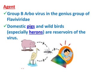 Agent
Group B Arbo virus in the genius group of
Flaviviridae
Domestic pigs and wild birds
(especially herons) are reservoirs of the
virus.
 