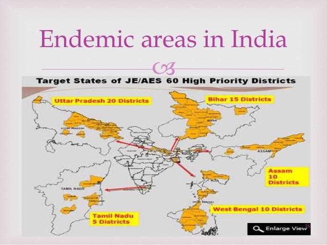 Japanese Encephalitis