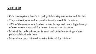 VECTOR
• Culex mosquitoes breeds in paddy fields, stagnant water and ditches
• They rest outdoors and are predominantly zoophilic in nature
• <2% of the mosquitoes feed on human beings and hence high density
of mosquitoes is needed for human transmission to occur
• Most of the outbreaks occur in rural and periurban settings where
paddy cultivation is done
• Mosquitoes once infected remains infected for lifetime
 