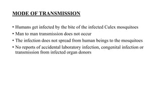 MODE OF TRANSMISSION
• Humans get infected by the bite of the infected Culex mosquitoes
• Man to man transmission does not occur
• The infection does not spread from human beings to the mosquitoes
• No reports of accidental laboratory infection, congenital infection or
transmission from infected organ donors
 