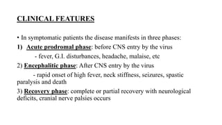 CLINICAL FEATURES
• In symptomatic patients the disease manifests in three phases:
1) Acute prodromal phase: before CNS entry by the virus
- fever, G.I. disturbances, headache, malaise, etc
2) Encephalitic phase: After CNS entry by the virus
- rapid onset of high fever, neck stiffness, seizures, spastic
paralysis and death
3) Recovery phase: complete or partial recovery with neurological
deficits, cranial nerve palsies occurs
 