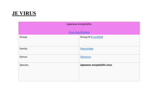 JE VIRUS
Japanese encephalitis
Virus classification
Group: Group IV ((+)ssRNA)
Family: Flaviviridae
Genus: Flavivirus
Species: Japanese encephalitis virus
 