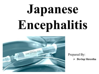 Japanese
Encephalitis
 Devlop Shrestha
Prepared By:
 