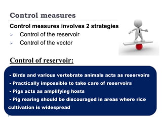 Control measures
Control measures involves 2 strategies:
 Control of the reservoir
 Control of the vector
Control of reservoir:
- Birds and various vertebrate animals acts as reservoirs
- Practically impossible to take care of reservoirs
- Pigs acts as amplifying hosts
- Pig rearing should be discouraged in areas where rice
cultivation is widespread
 