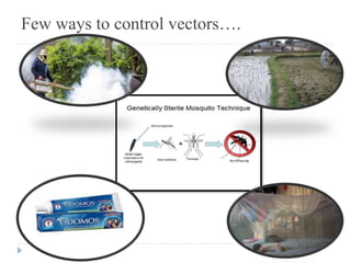 Few ways to control vectors….
 