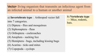 Vector- living organism that transmits an infectious agent from
an infected animal to a human or another animal
a) Invertebrate type : Arthropod vector fall
into 7 categories.
(1) Diptera - flies and mosquitoes
(2) Siphonaptera - fleas
(3) Orthoptera - cockroaches
(4) Anoplura - sucking lice
(5) Hemiptera - bugs, including kissing bugs
(6) Acarina - ticks and mites
(7) Copepoda - cyclops
b) Vertebrate type
— Mice, rodents,
bats.
 