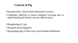 Control of Pig
• Immunization- Inactivated/ attenuated vaccines.
• Challenge- difficult to ensure complete coverage due to
rapid breeding & limited vaccine effectiveness.
• Slaughtering of pig
• Mosquito proof piggeries
• Segregating pigs 4-5km away from human habitations
48
 