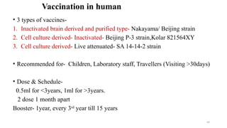 Vaccination in human
• 3 types of vaccines-
1. Inactivated brain derived and purified type- Nakayama/ Beijing strain
2. Cell culture derived- Inactivated- Beijing P-3 strain,Kolar 821564XY
3. Cell culture derived- Live attenuated- SA 14-14-2 strain
• Recommended for- Children, Laboratory staff, Travellers (Visiting >30days)
• Dose & Schedule-
0.5ml for <3years, 1ml for >3years.
2 dose 1 month apart
Booster- 1year, every 3rd
year till 15 years
49
 