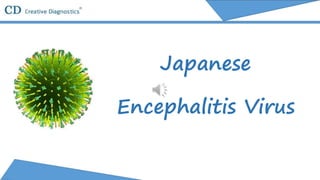 Japanese
Encephalitis Virus
 