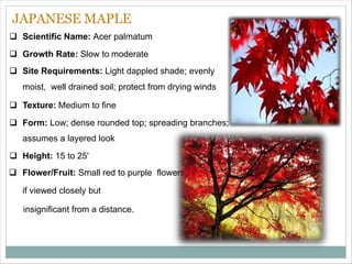 Japanese garden | PDF