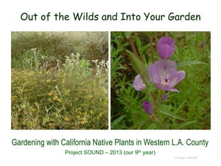 Out of the Wilds and Into Your Garden

Gardening with California Native Plants in Western L.A. County
Project SOUND – 2013 (our 9th year)
© Project SOUND

 