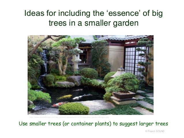 In a Japanese Garden Using Calif Native Gymnosperms 2013 in a japanese garden using calif native gymnosperms 2013 71 638