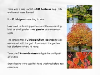 There was a lake , which is 1:25 hectares dug , hills
and islands were formed
Has 16 bridges connecting to lake
Lake used for boating parties , and the surrounding
land as stroll garden - tea garden on a enormous
scale
The katsura tree ( Cercidiphyllum japonicum) was
associated with the god of moon and the garden
has platform to view its rising
There are 23 stone lanterns to light the stroll path
after dark
Stone basins were used for hand washing before tea
ceremony
 