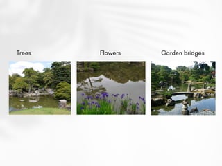 Trees Flowers Garden bridges
 