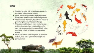 The idea of using fish in landscape garden is
borrowed from Chinese garden.
 Japan is a country where a large population
leaves little land available for flower gardens.
 The Japanese, therefore, have found places to
grow living flowers, the colored carps.
 They appeared in Japan many centuries ago
and the Japanese have crossbred them for
over 100 years, producing carps of high value
that bring a flash of colour to the shallow
waters.
 Carps can live for up to 50 years. In Japanese
culture, they are a symbol of strength and
perseverance.
FISH
 