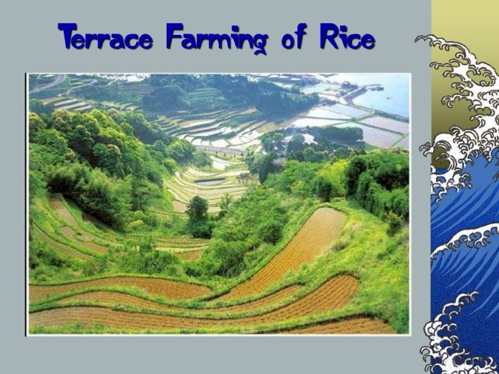 Geography of Japan Slide 38