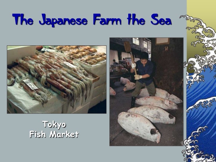 Geography of Japan Slide 39
