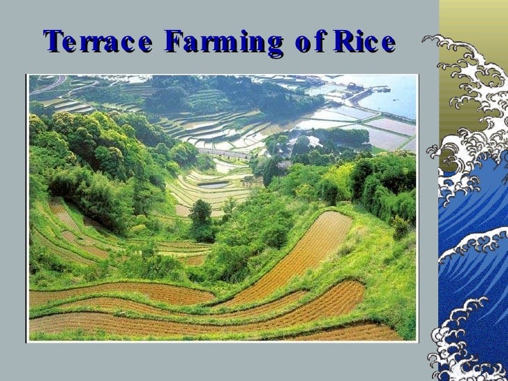 Japanese Geography P Pt Slide 42