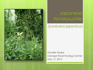 Japanese
     Honeysuckle
(Lonicera japonica)




Danelle Haake
Litzsinger Road Ecology Center
May 17, 2012
 