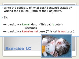 Write the opposite of what each sentence states by writing the ( kunai) form of the i-adjective. Ex: Kononekowakawaiidesu. (This cat is cute.)                         BecomesKononekowakawaikunaidesu.(This cat is not cute.)Exercise 1C