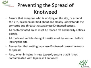Preventing the Spread of Knotweed Ensure that everyone who is working on the site, or around the site, has been notified about and clearly understands the concerns and threats that Japanese Knotweed causes. All contaminated areas must be fenced off and ideally notices posted. All tools and vehicles bought on-site must be washed before leaving the site. Remember that cutting Japanese Knotweed causes the roots to spread. Also, when bringing in new top-soil, ensure that it is not contaminated with Japanese Knotweed! 