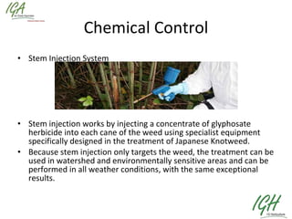 Chemical Control Stem Injection System Stem injection works by injecting a concentrate of glyphosate herbicide into each cane of the weed using specialist equipment specifically designed in the treatment of Japanese Knotweed.  Because stem injection only targets the weed, the treatment can be used in watershed and environmentally sensitive areas and can be performed in all weather conditions, with the same exceptional results.  