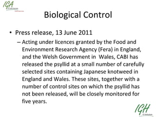 Biological Control Press release, 13 June 2011 Acting under licences granted by the Food and Environment Research Agency (Fera) in England, and the Welsh Government in  Wales, CABI has released the psyllid at a small number of carefully selected sites containing Japanese knotweed in England and Wales. These sites, together with a number of control sites on which the psyllid has not been released, will be closely monitored for five years. 