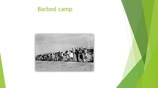 Barbed camp
 